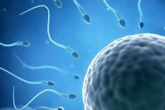 检查精子质量怎么取精子