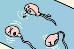 老公精子活力低能怀孕吗