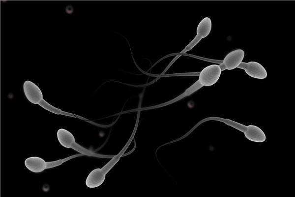 精子不完全液化什么原因引起的？怎样提高精子质量？