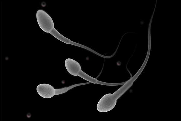 精子活力正常值标准？吃什么能提高精子活力？