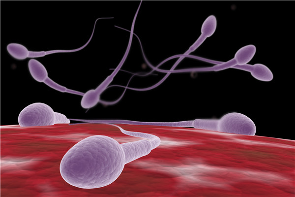 促进精子活力的方法有哪些？这几点一定要做到