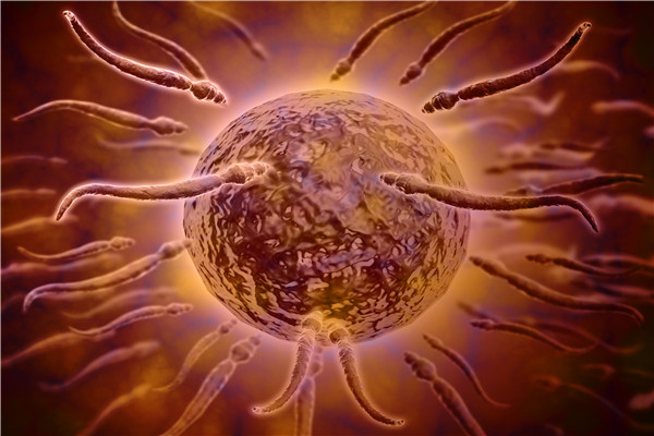 精子总活力低怎么办？哪些方法能提升精子质量？