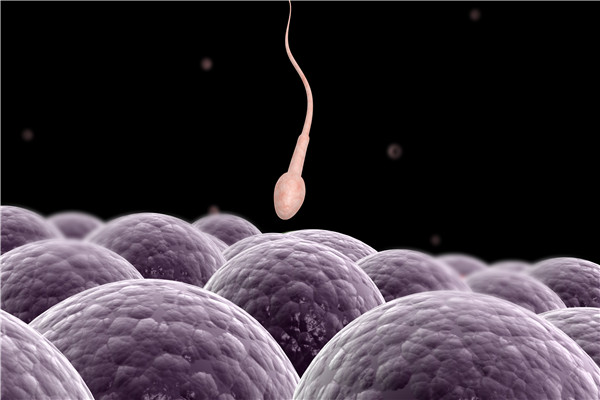 什么样的精子是正常的？通过这几点来判断