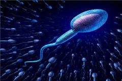 a级精子的正常范围是多少？如何增加a级精子？